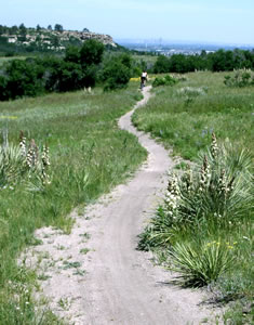 highlands ranch trail construction