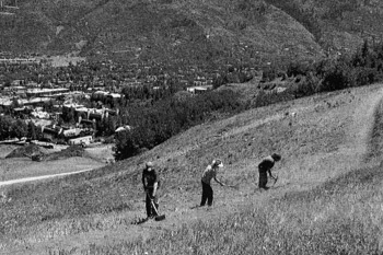 Aspen Trail Construction