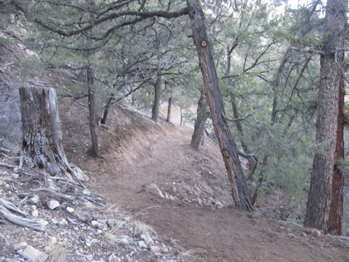 Little Rainbow Trail