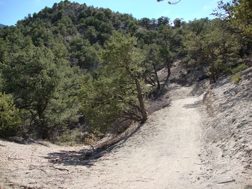 salida little rainbow trail